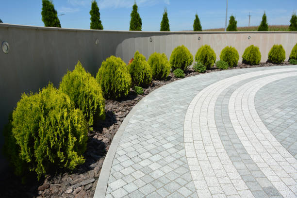 Best Professional Driveway Pavers  in San Anselmo, CA